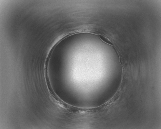 X0000053020100200507152024