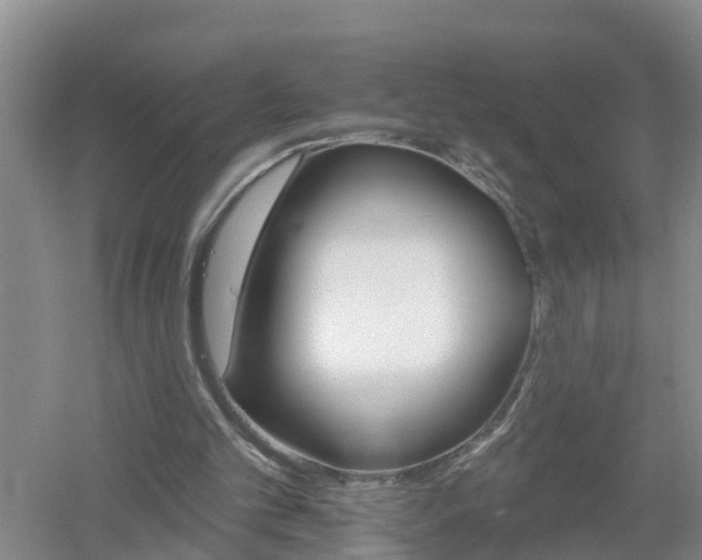 X0000053020101200507152024