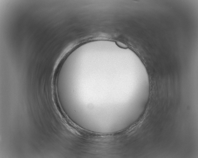 X0000053020102200507152024