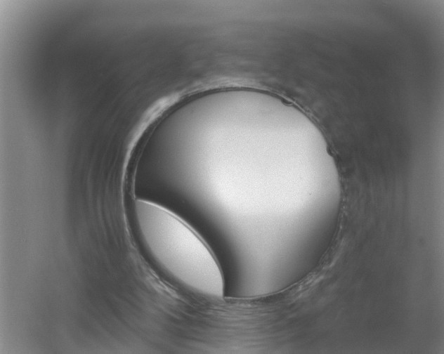 X0000053020104200507152024