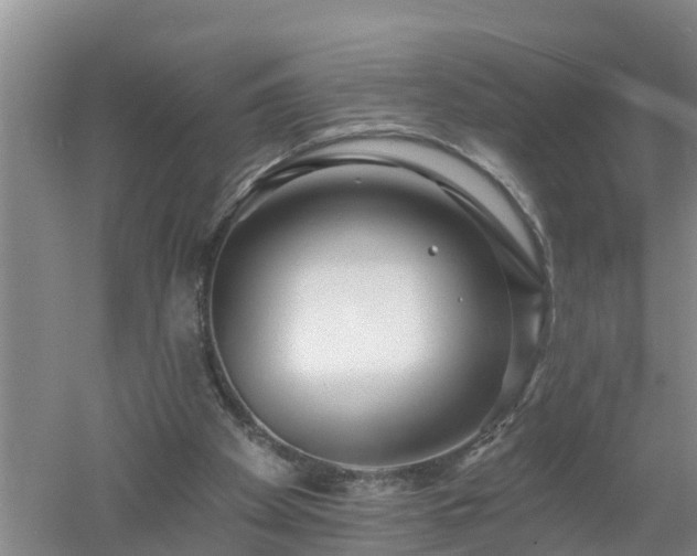 X0000053020105200507152024