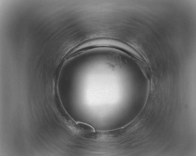 X0000053020109200507152024