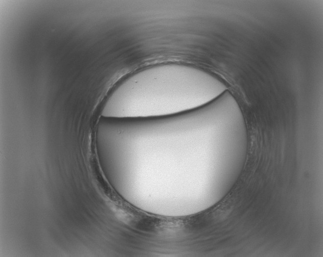 X0000053020110200507152024