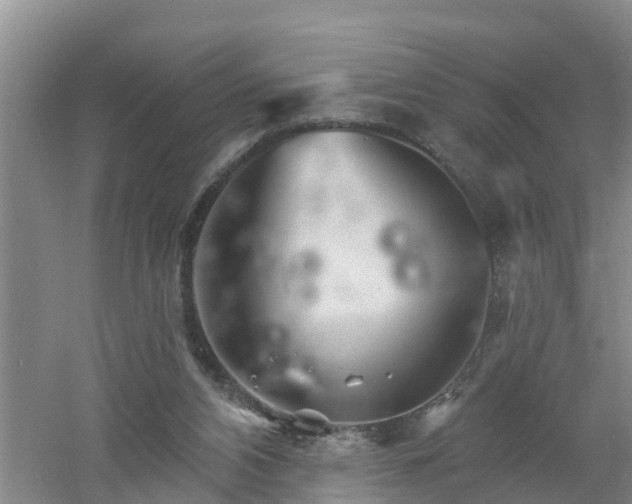 X0000053020112200507152024