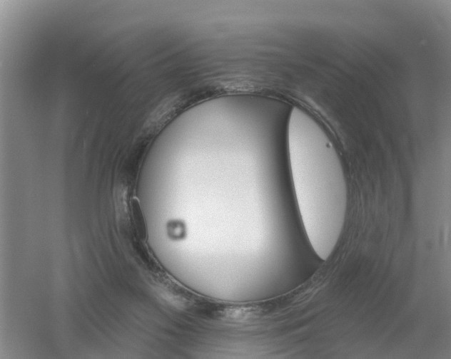 X0000053020117200507152024