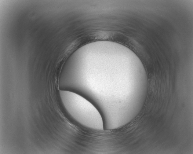 X0000053020118200507152024