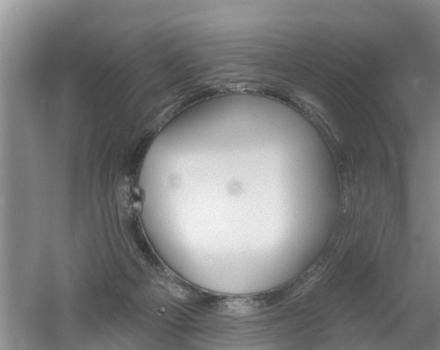 X0000053020121200507152024