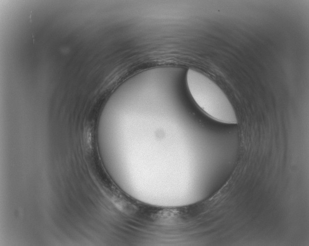 X0000053020124200507152024