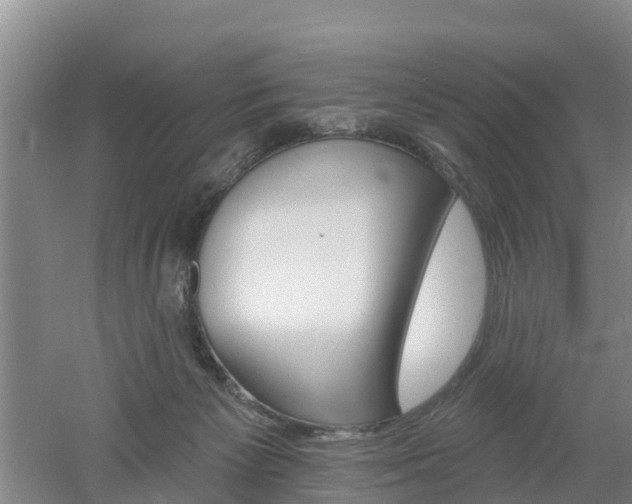 X0000053020125200507152024