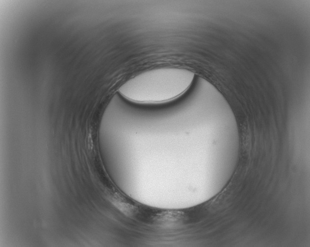 X0000053020128200507152024