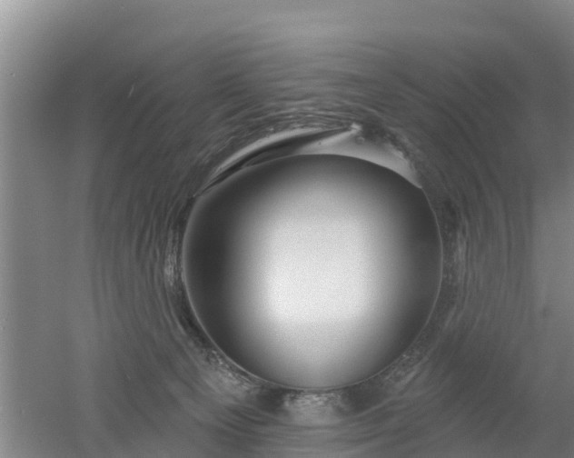 X0000053020129200507152024