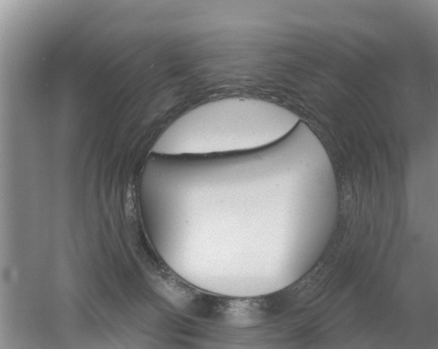 X0000053020130200507152024