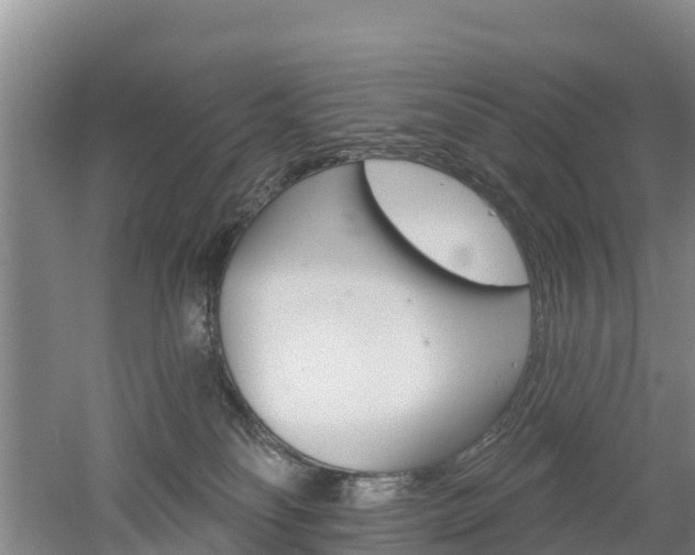 X0000053020134200507152024