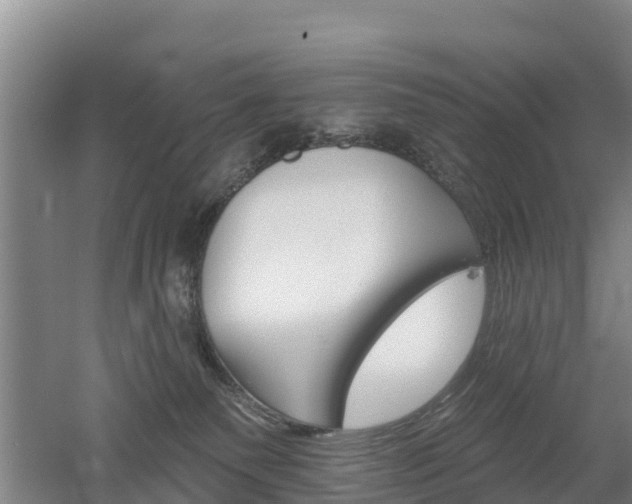 X0000053020135200507152024