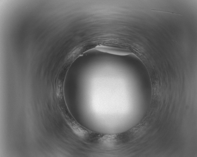 X0000053020138200507152024