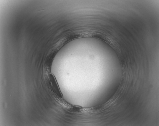 X0000053020141200507152024