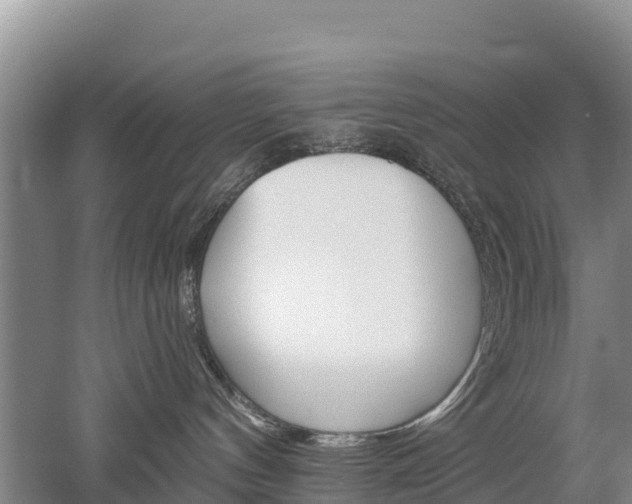 X0000053020144200507152024