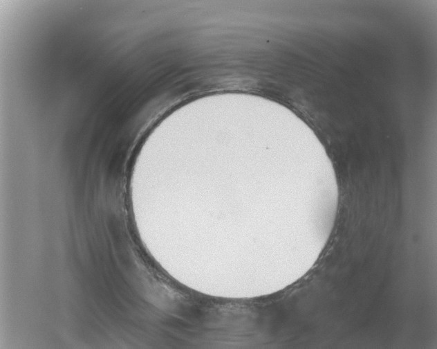 X0000053020146200507152023