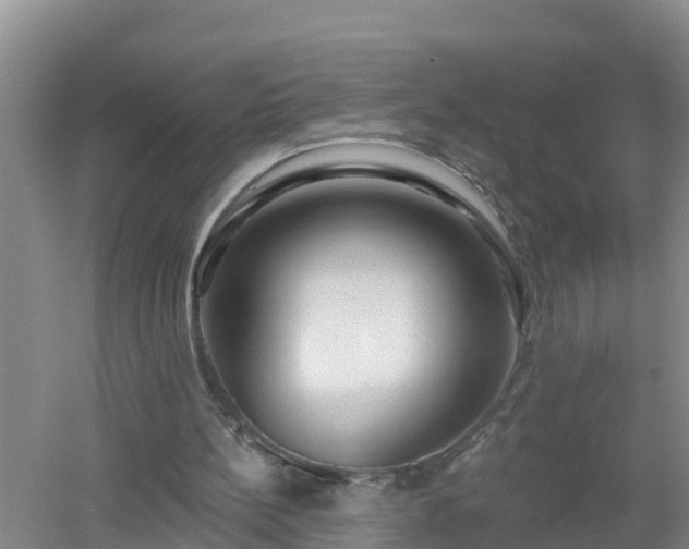 X0000053020148200507152023