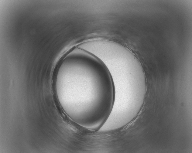 X0000053020150200507152023