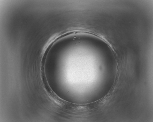 X0000053020151200507152023