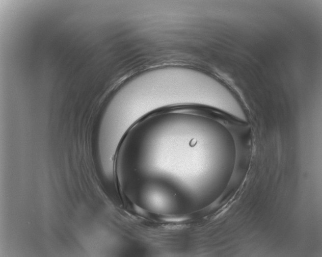 X0000053020154200507152023