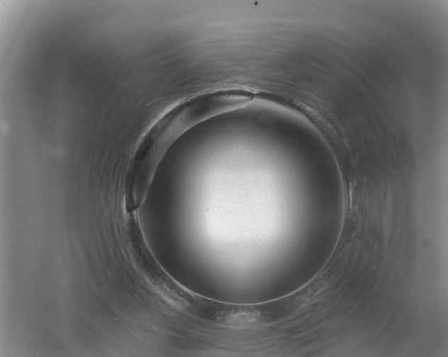 X0000053020156200507152023