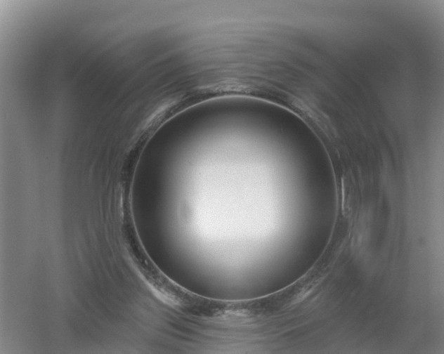 X0000053020157200507152023