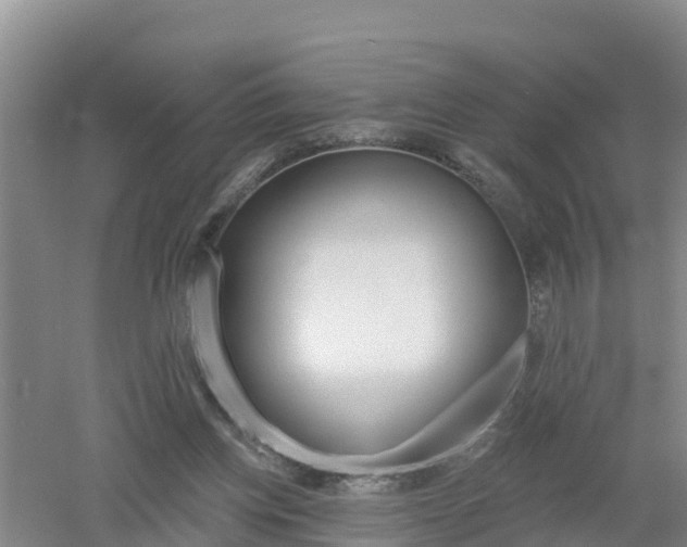 X0000053020158200507152023