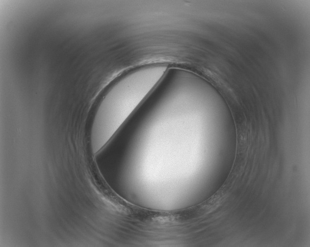 X0000053020160200507152023