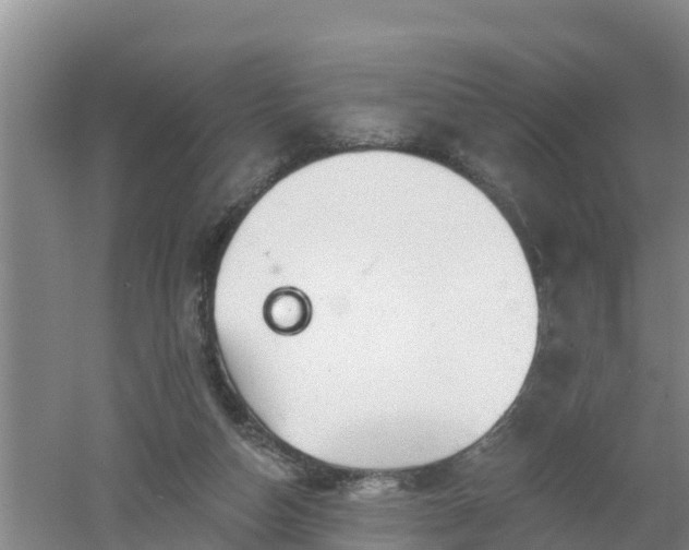 X0000053020162200507152023