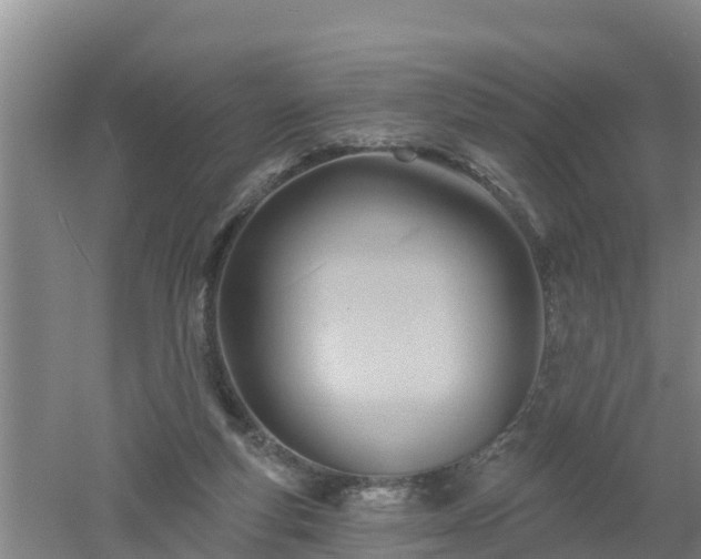 X0000053020163200507152023