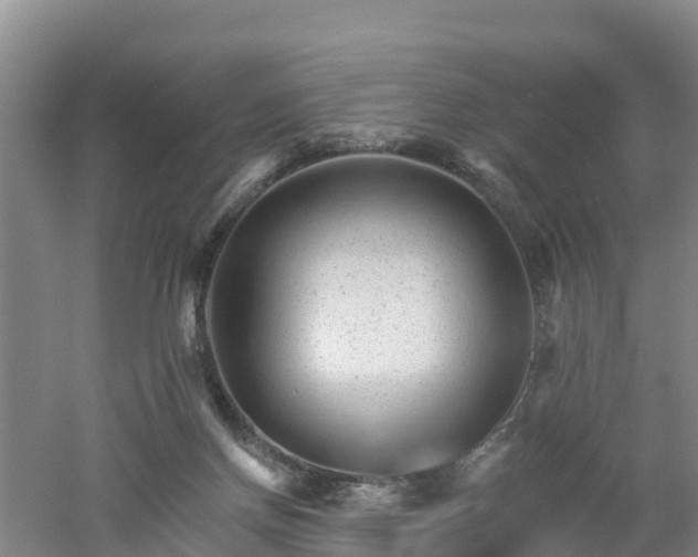 X0000053020166200507152023