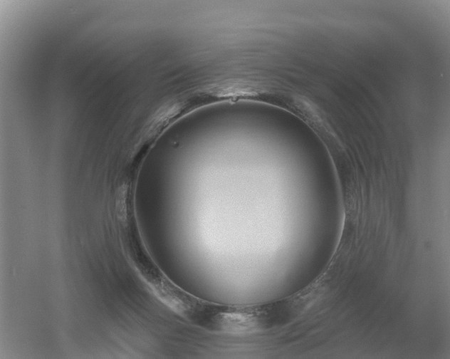 X0000053020167200507152023