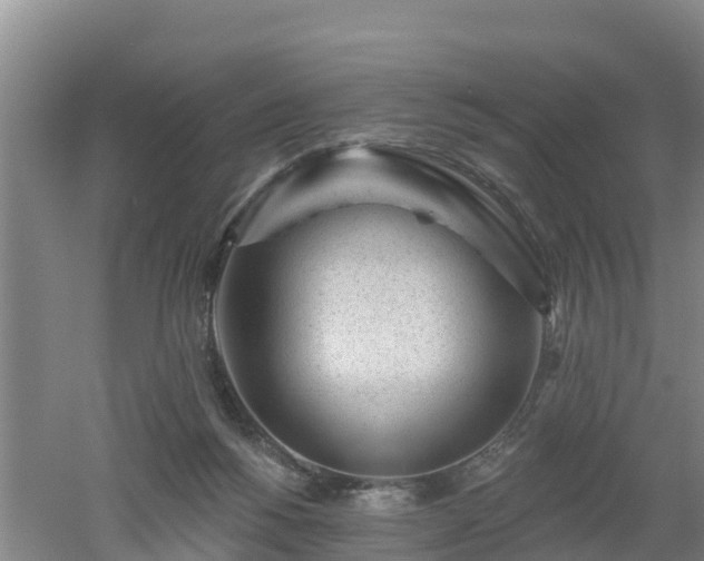 X0000053020168200507152023