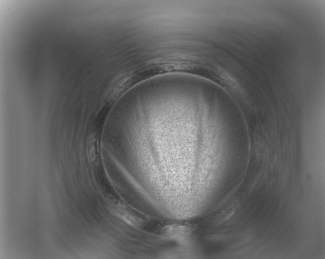 X0000053020169200507152023