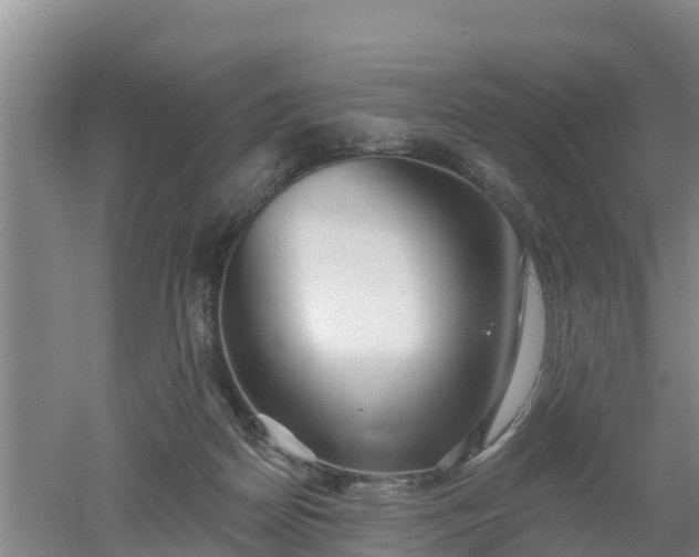 X0000053020170200507152023