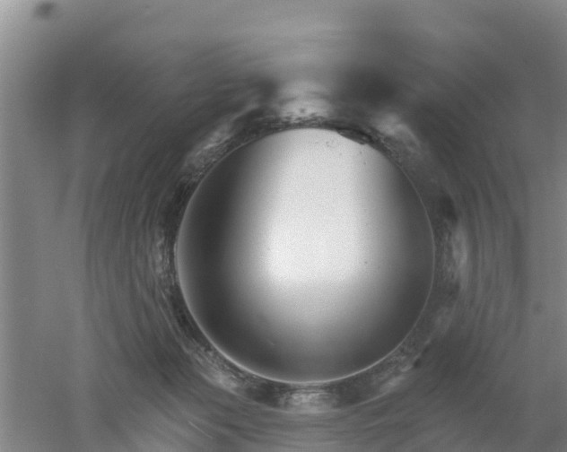 X0000053020173200507152023