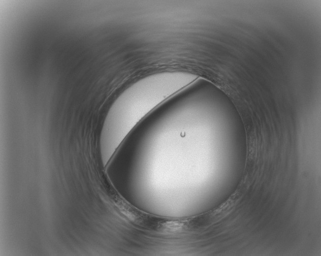 X0000053020176200507152023