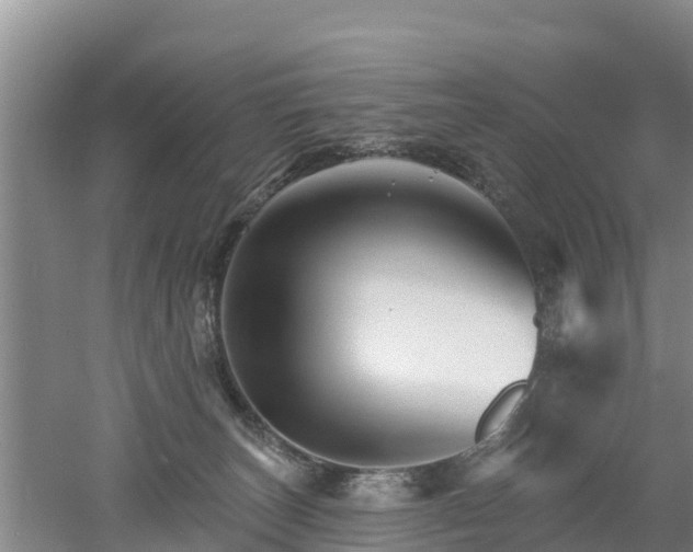 X0000053020179200507152023