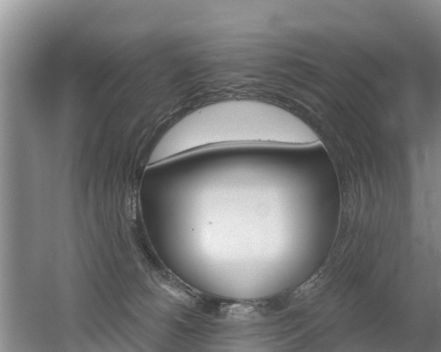 X0000053020180200507152023