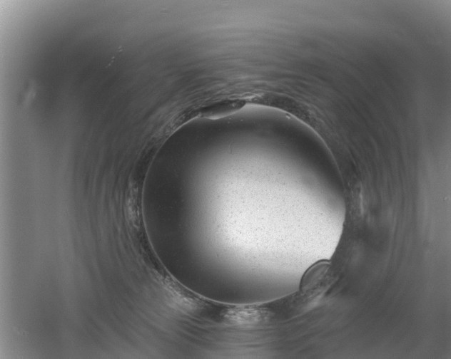 X0000053020181200507152023