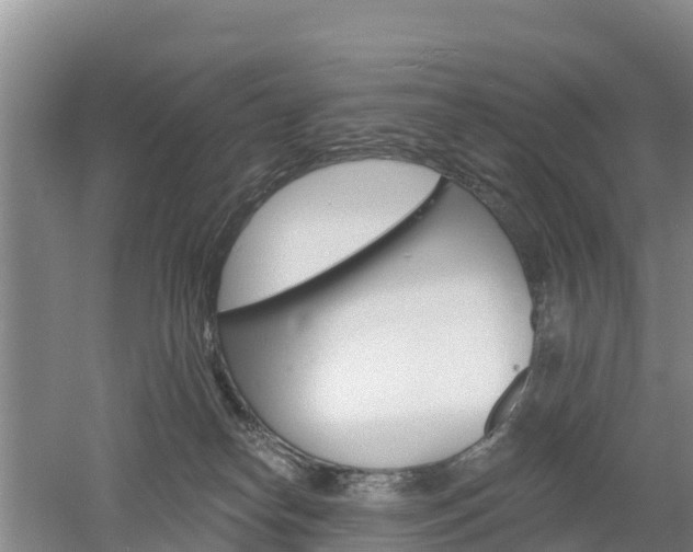 X0000053020182200507152023