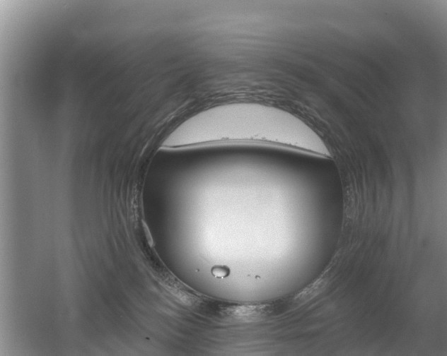 X0000053020184200507152023