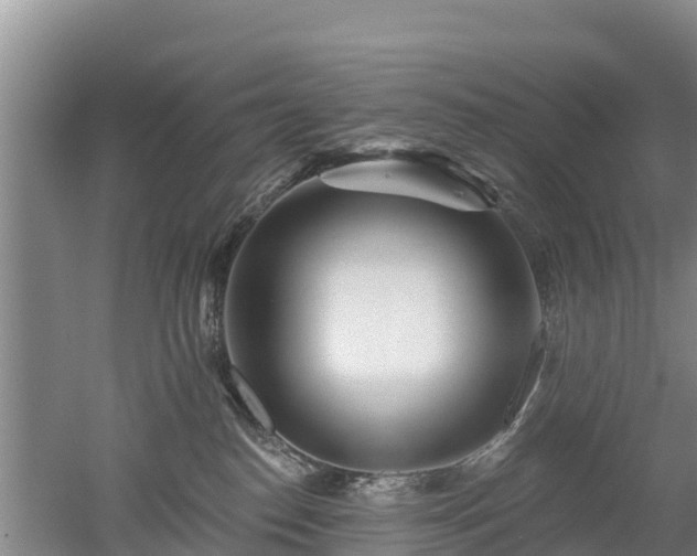 X0000053020186200507152023