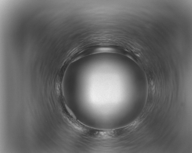 X0000053020188200507152023