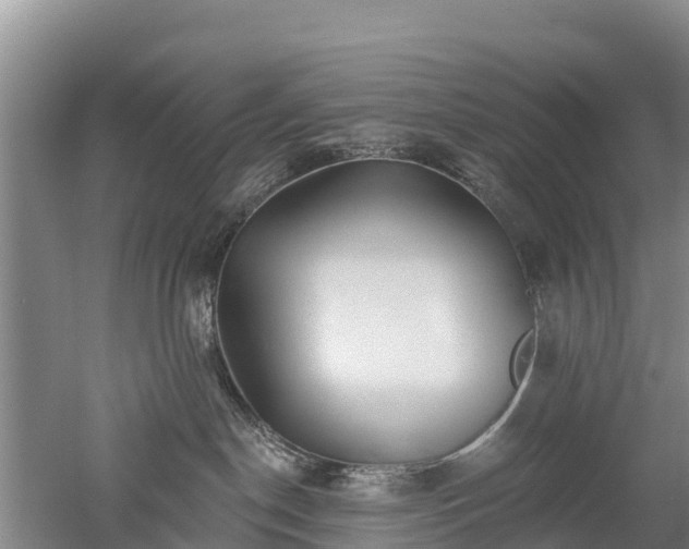 X0000053020190200507152024