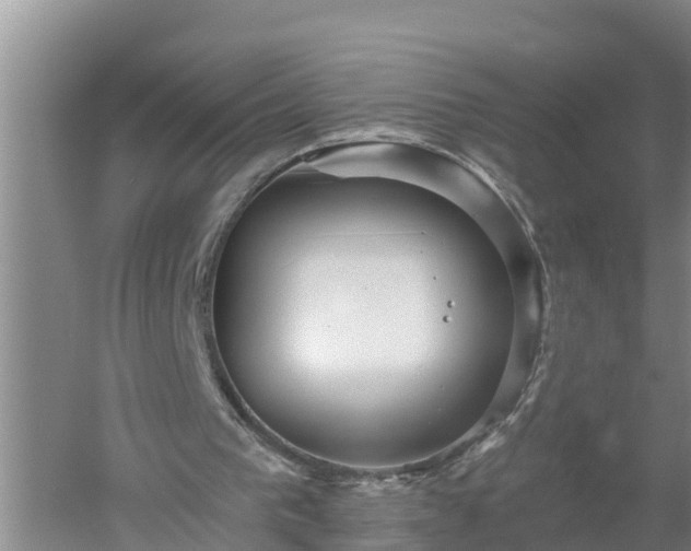 X0000053020193200507152023