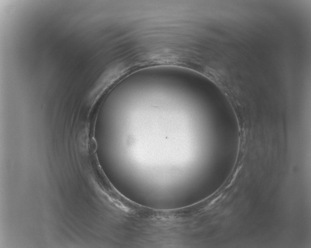 X0000053020194200507152023