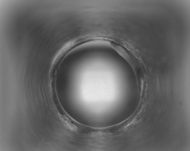 X0000053020197200507152023